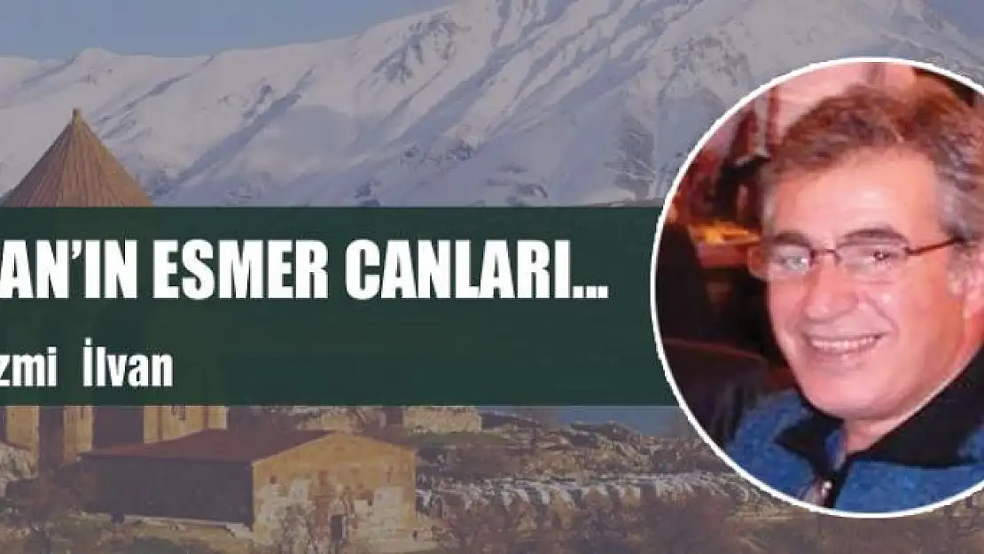 Van'ın esmer canları...