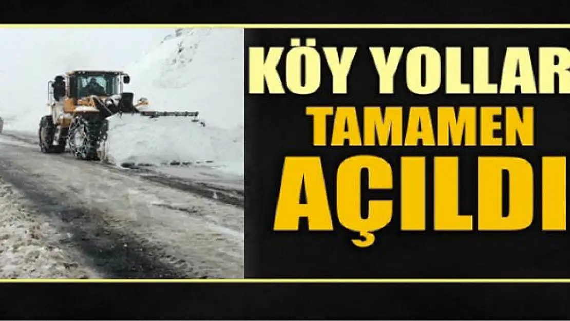 Van-Bahçesaray yolu ulaşıma açıldı