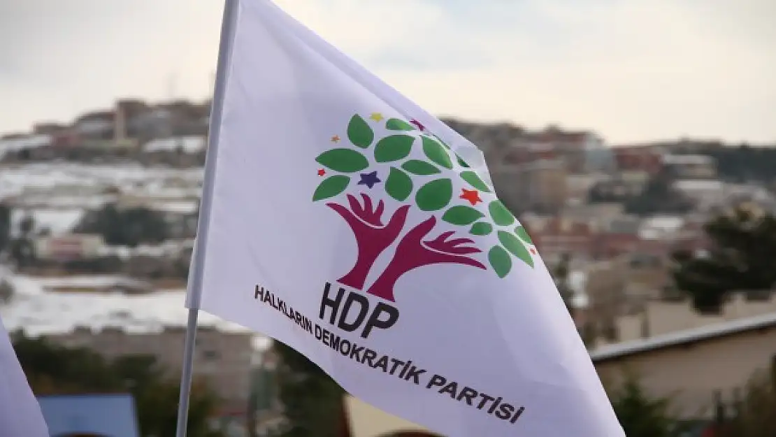 HDP İlçe Eş Başkanı gözaltına alındı