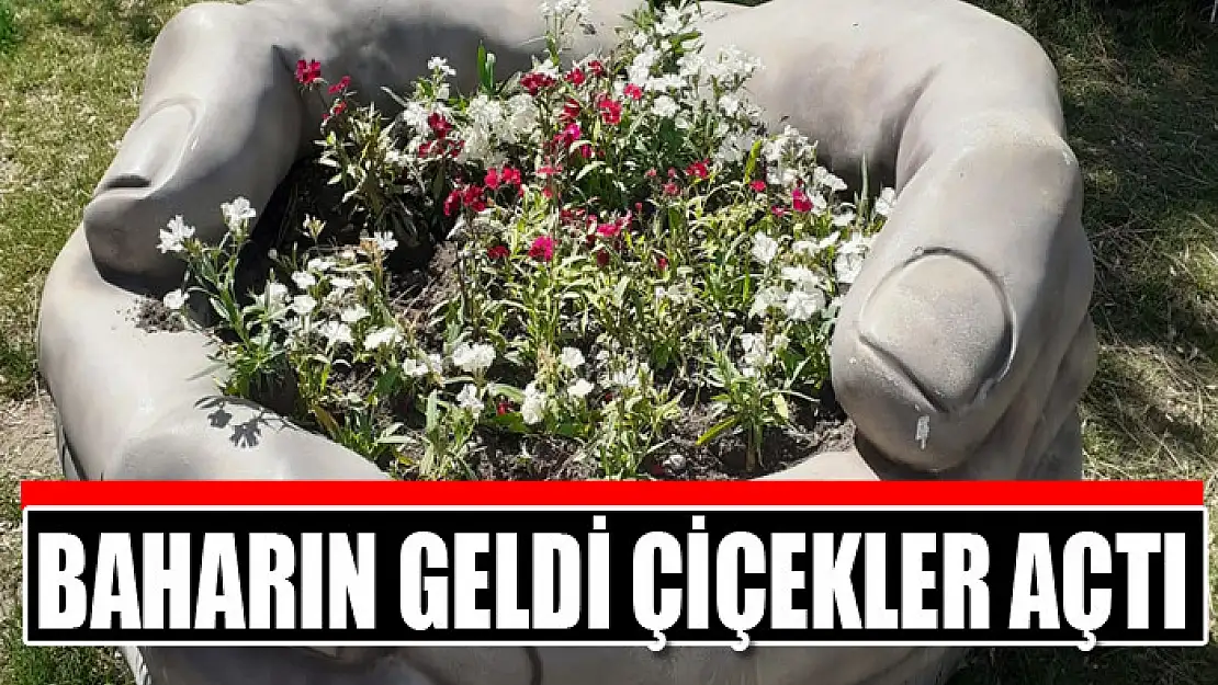 Baharın geldi çiçekler açtı