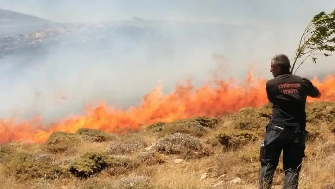 Bahçesaray'da arazi yangını
