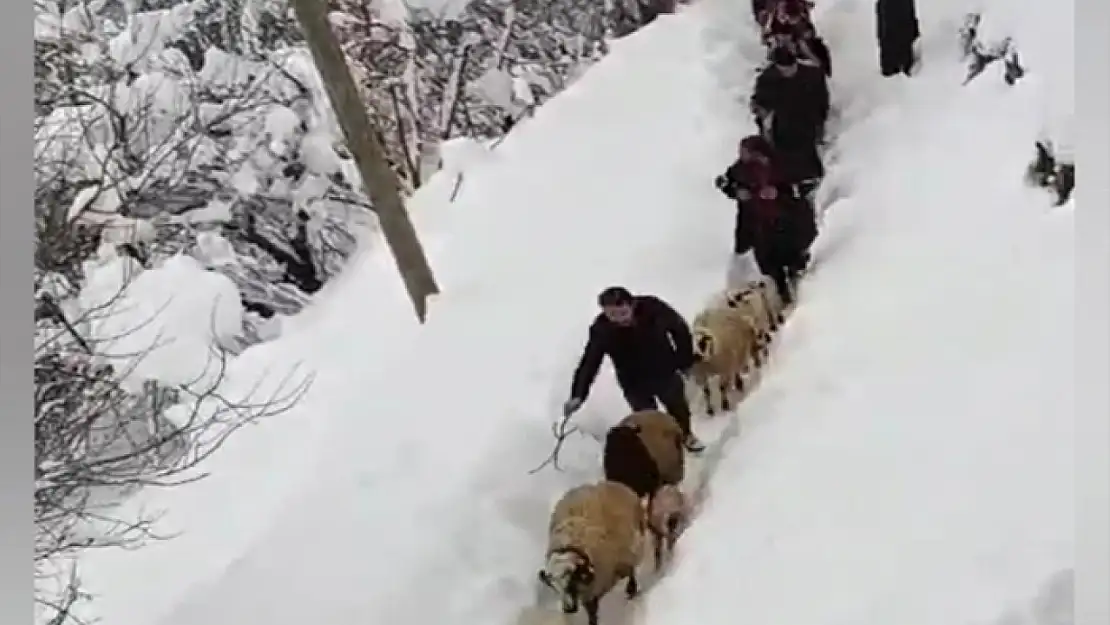 Bahçesaray'da kar kalınlığı 2 metreyi geçti