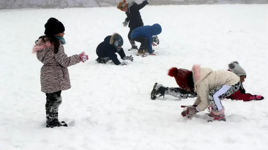 Bahçesaray'da okullara kar tatili