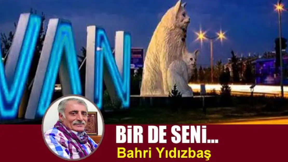 Bir De Seni...