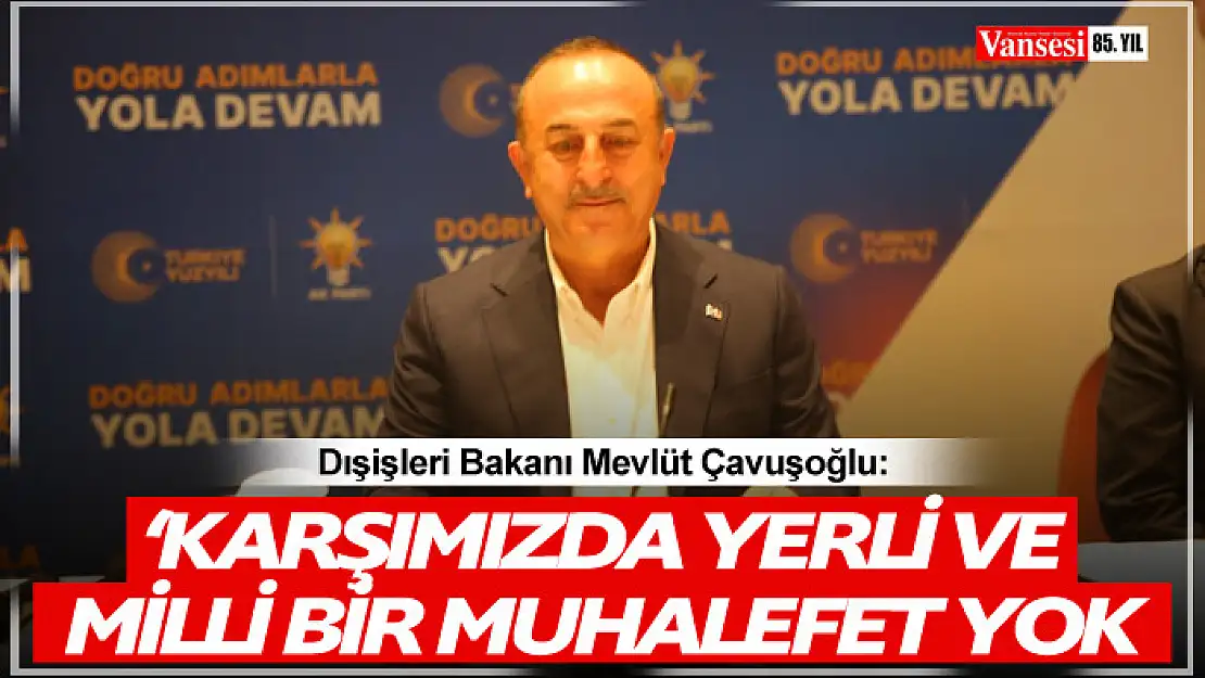 Bakan Çavuşoğlu: 'Karşımızda yerli ve milli bir muhalefet yok'