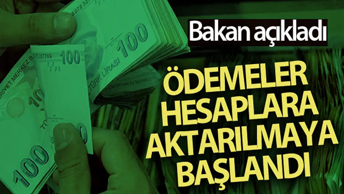 Bakan Pakdemirli: 13 milyon lirayı aşkın destek ödemesi hesaplara aktarılmaya başlandı