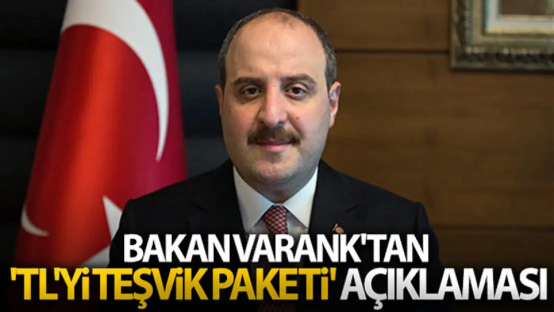 Bakan Varank'tan 'TL'yi teşvik paketi' açıklaması