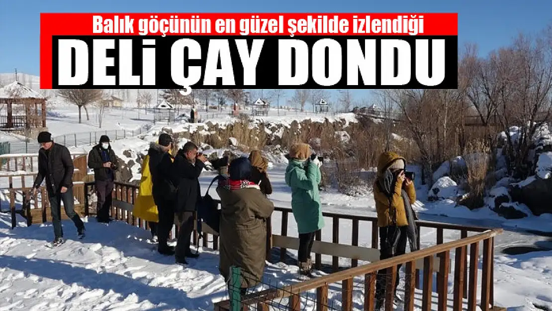 Balık göçünün en güzel şekilde izlendiği Deli Çay dondu