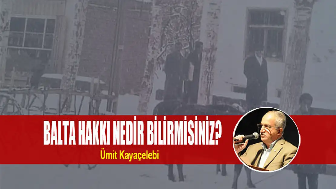 BALTA HAKKI NEDİR BİLİRMİSİNİZ?