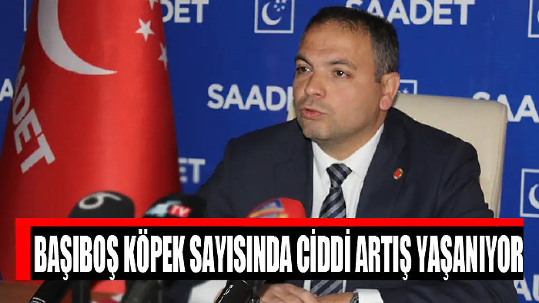 Başıboş köpek sayısında ciddi artış yaşanıyor