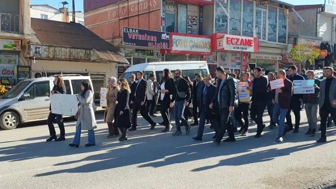 Başkale'de 'Diyabet Farkındalık Yürüyüşü' yapıldı