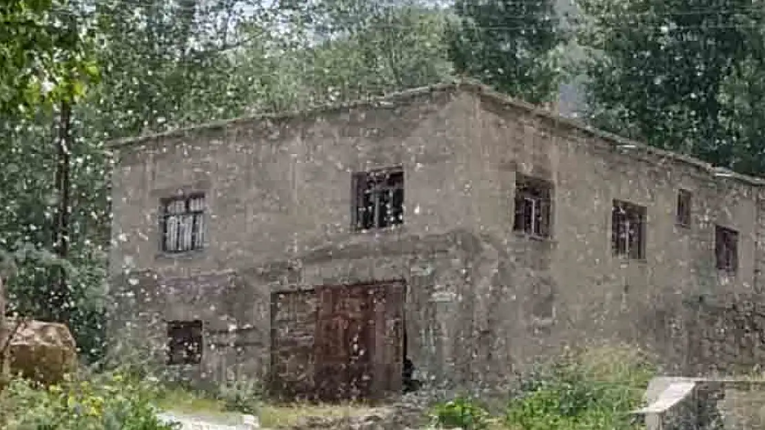 Başkale'de kavak polenleri sağlığı tehdit ediyor