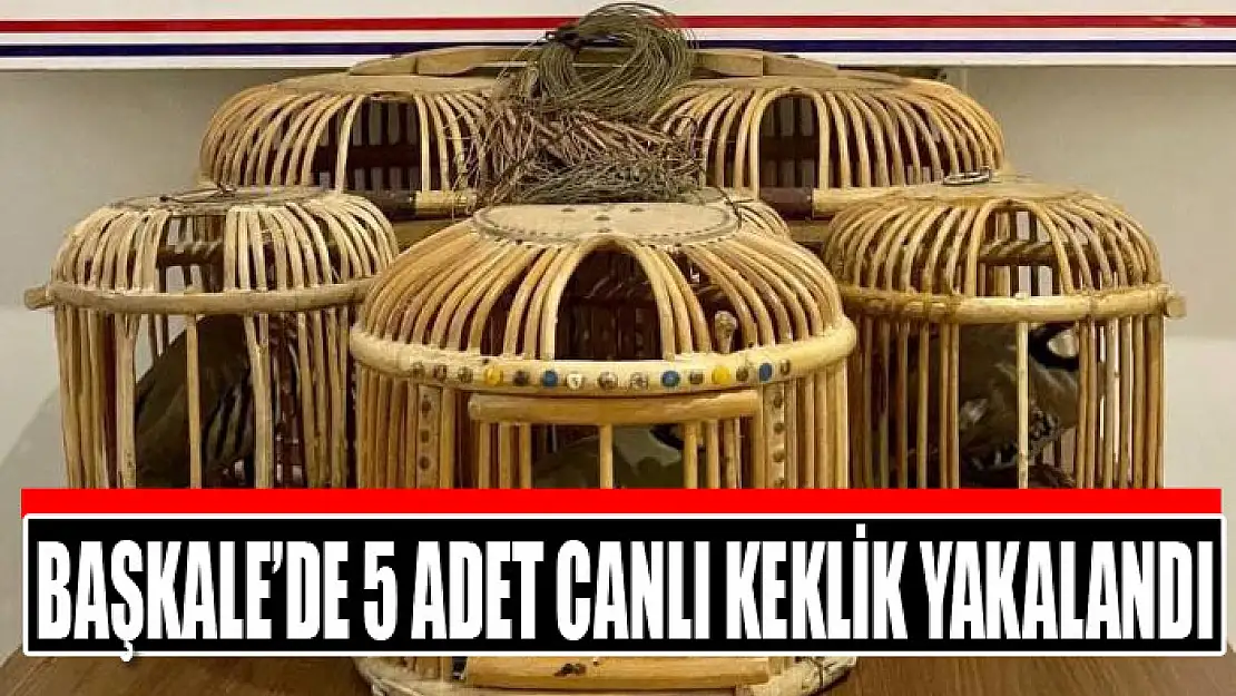 Başkale'de 5 adet canlı keklik yakalandı