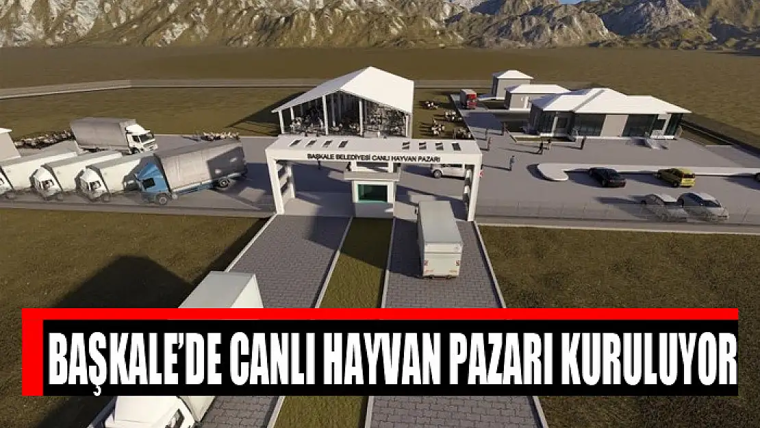 Başkale'de canlı hayvan pazarı kuruluyor