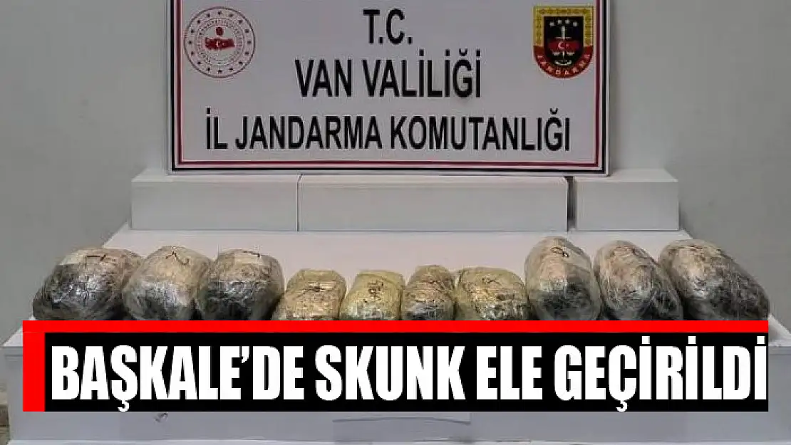 Başkale'de skunk ele geçirildi