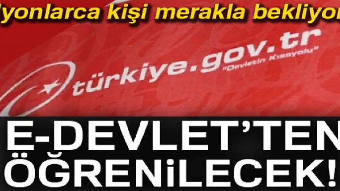 Seçmenler merakla bekliyordu! e-Devlet'ten öğrenilecek