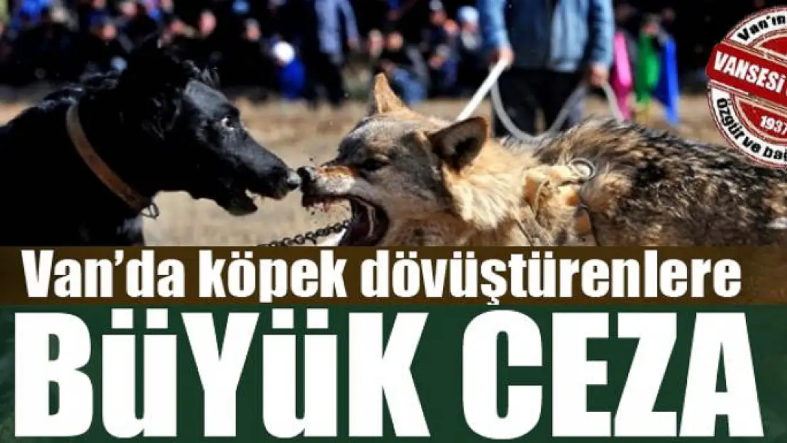 Van'da köpek dövüştürenlere büyük ceza