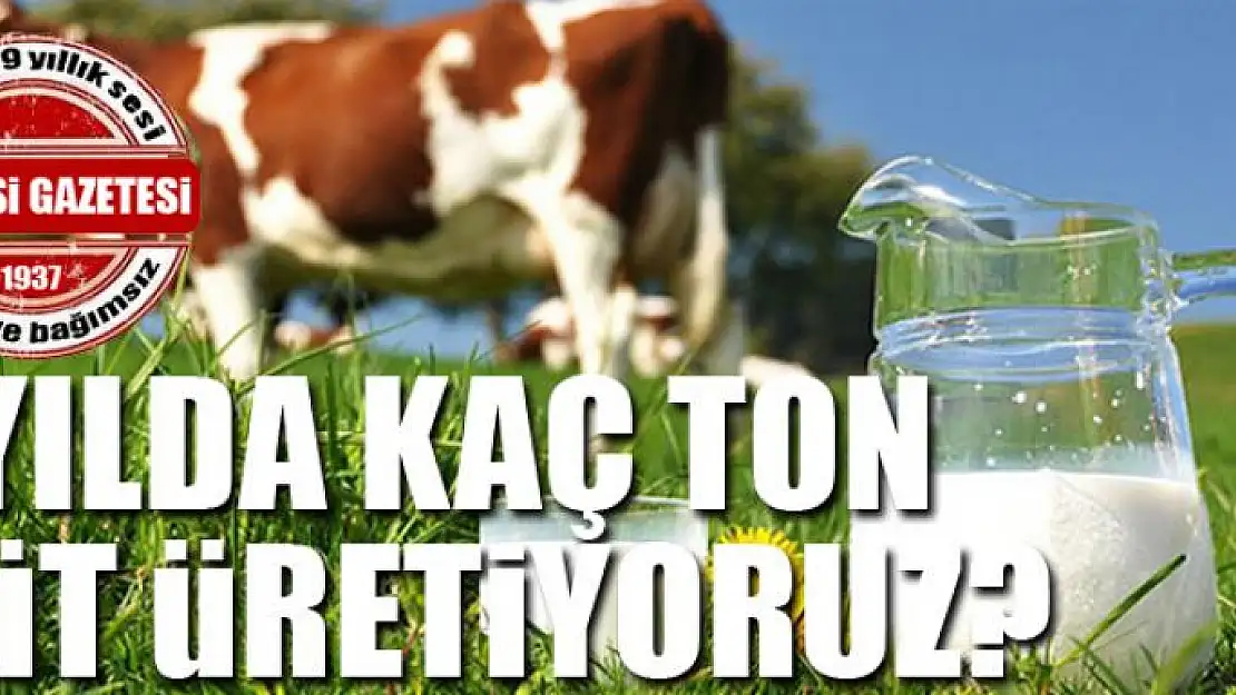 Yılda kaç ton süt üretiyoruz?