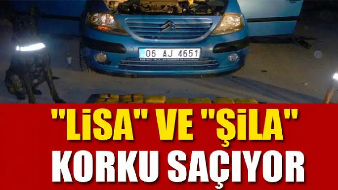 Kaçakçıların korkulu rüyası: 'Lisa' ve 'Şila' 