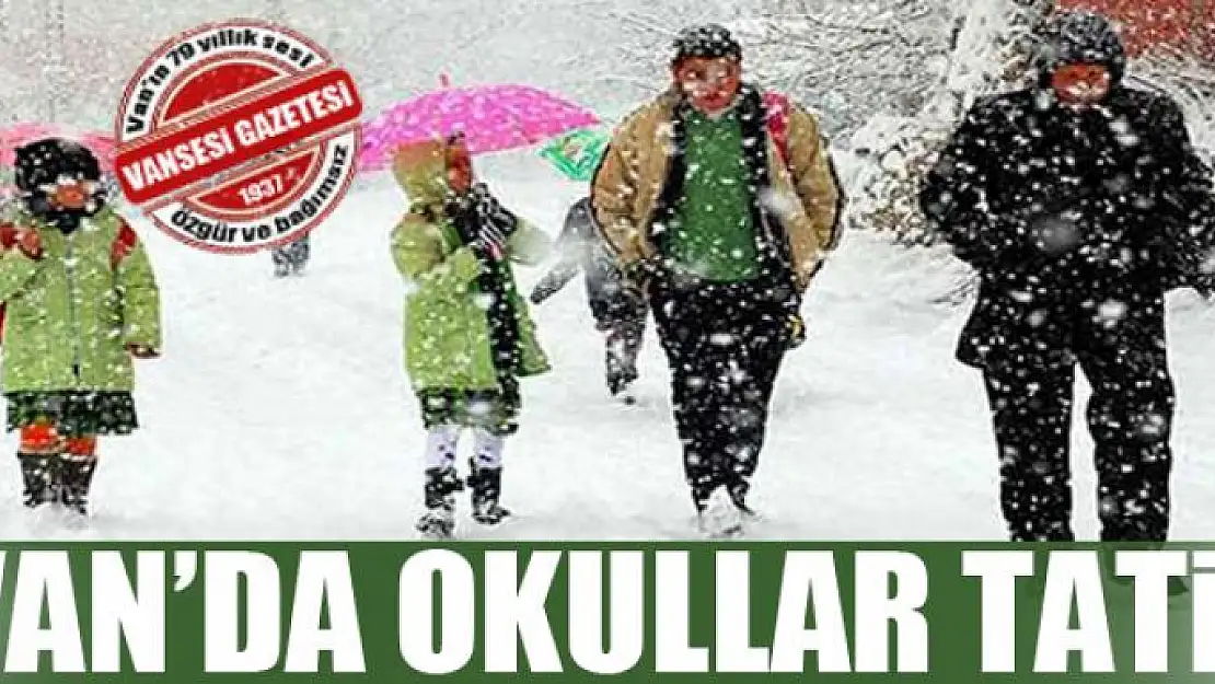 Van'da okullar tatil edildi