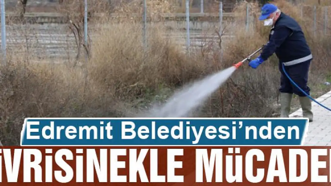 Edremit'te sivrisinekle mücadele