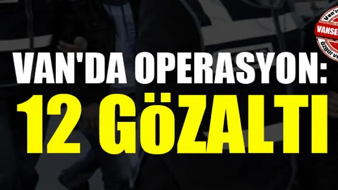 Van'da terör operasyonu: 12 gözaltı