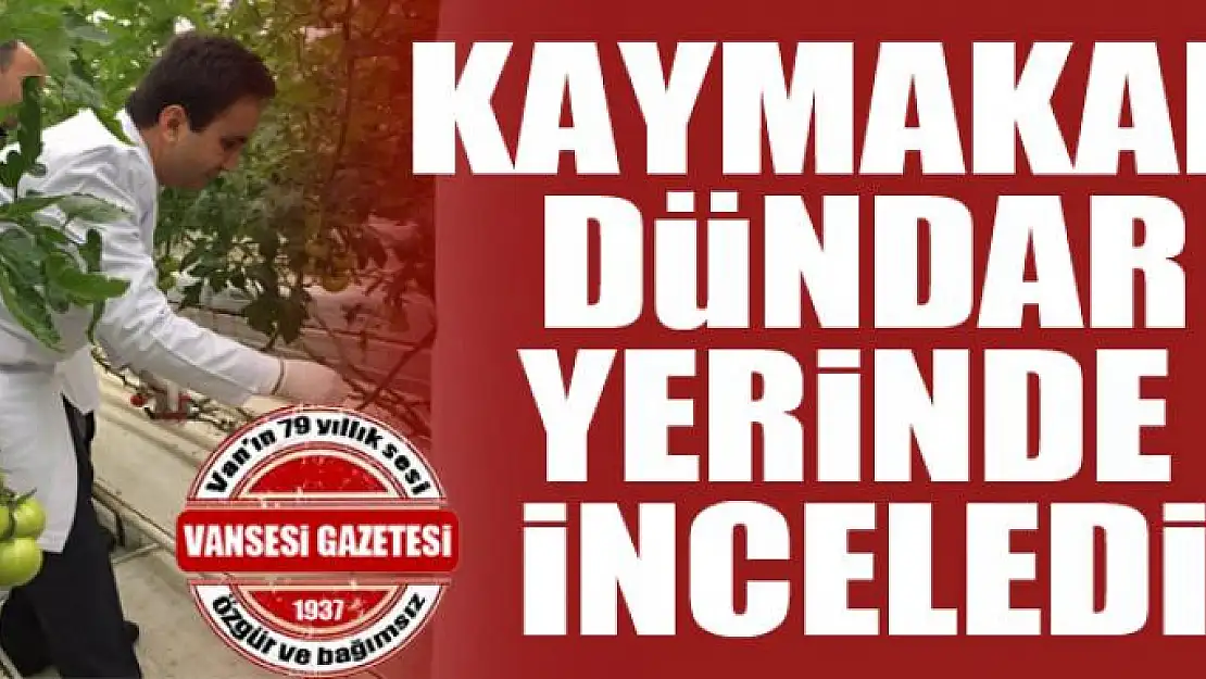 Kaymakam Dündar yerinde inceledi