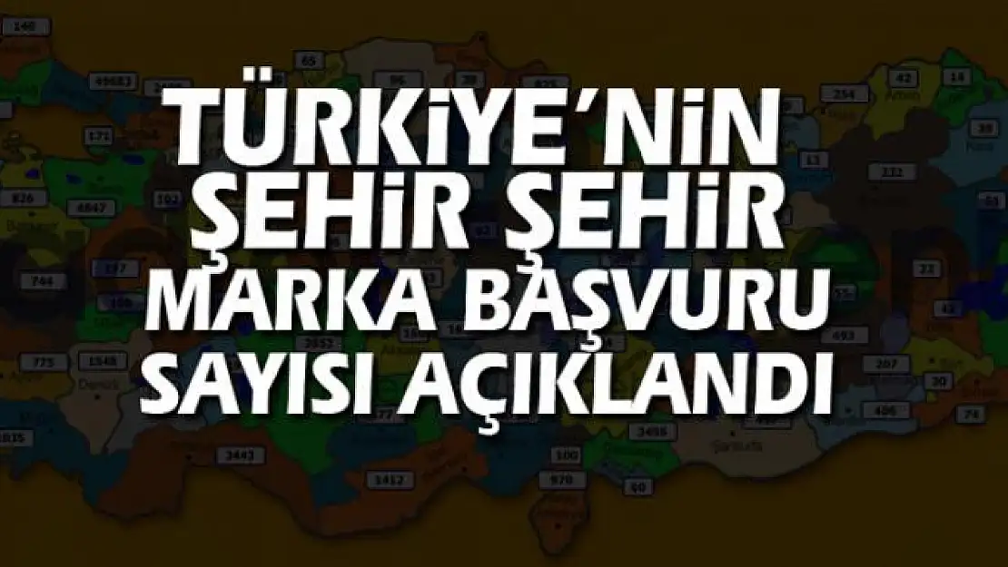 Türkiye'nin marka başvuru sayısı açıklandı