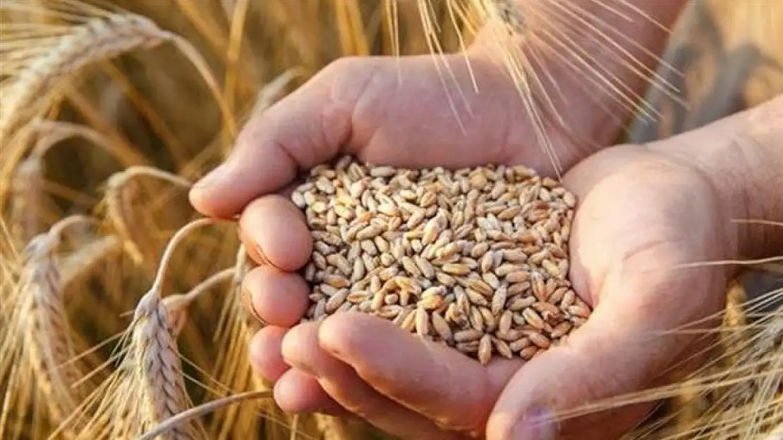Bayraktar: Buğdayda fiyatlar bir an önce revize edilmeli