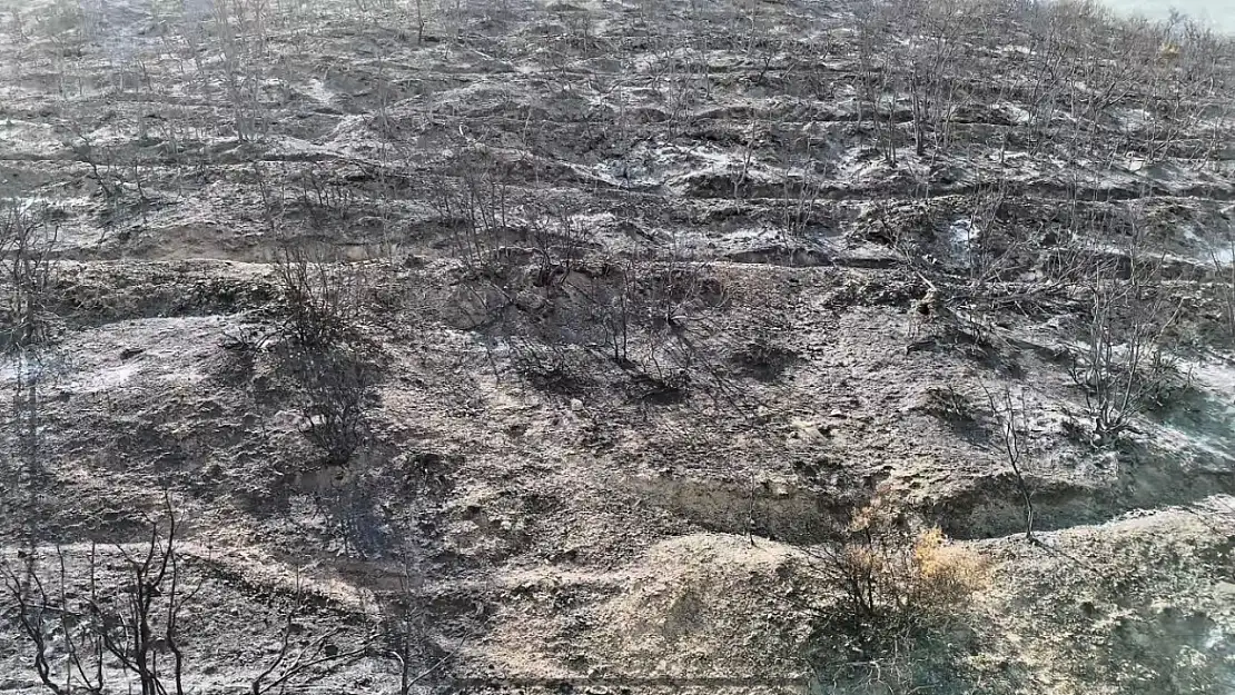 Bilecik'te orman yangını sonrası yürek burkan manzara havadan görüntülendi