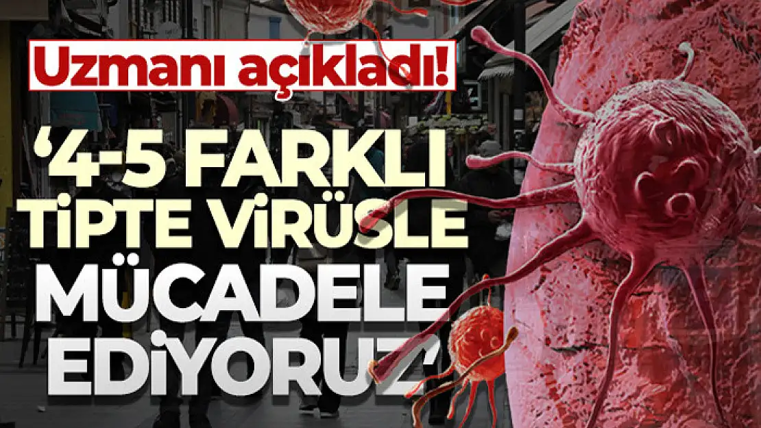 Bilim Kurulu Üyesi Prof. Dr. Alper Şener: '4-5 farklı tipte virüsle mücadele ediyoruz'