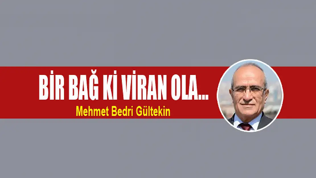 Bir bağ ki viran ola…