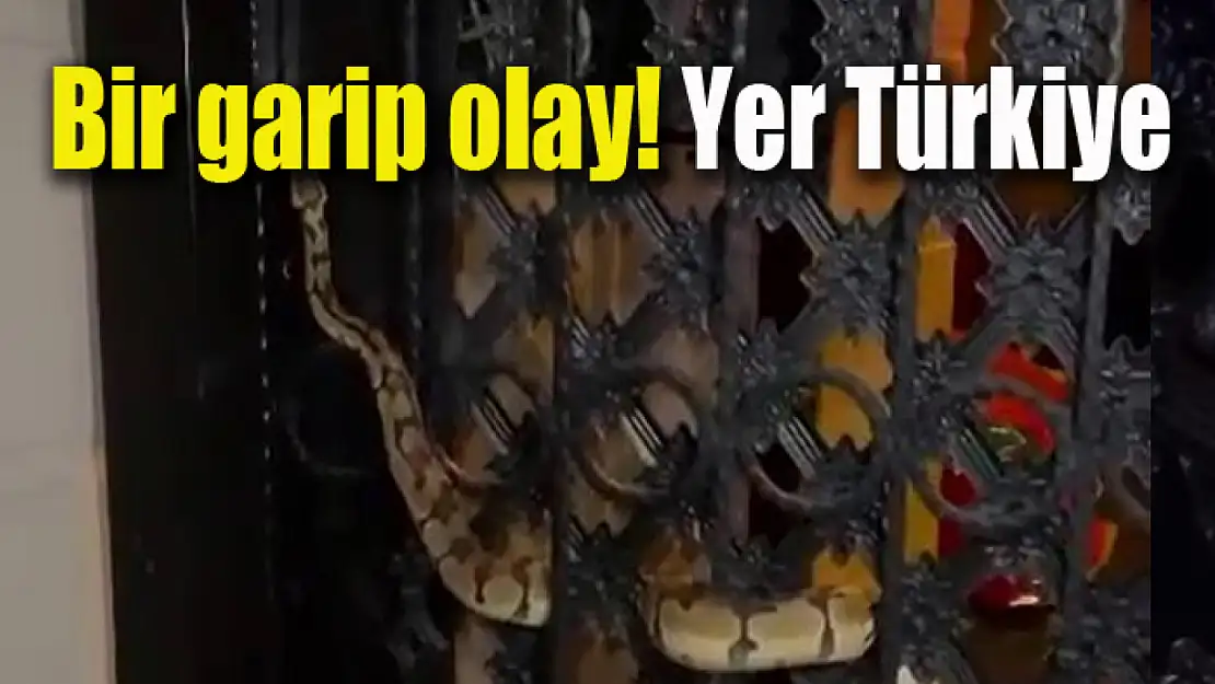 Bir garip olay! Yer Türkiye