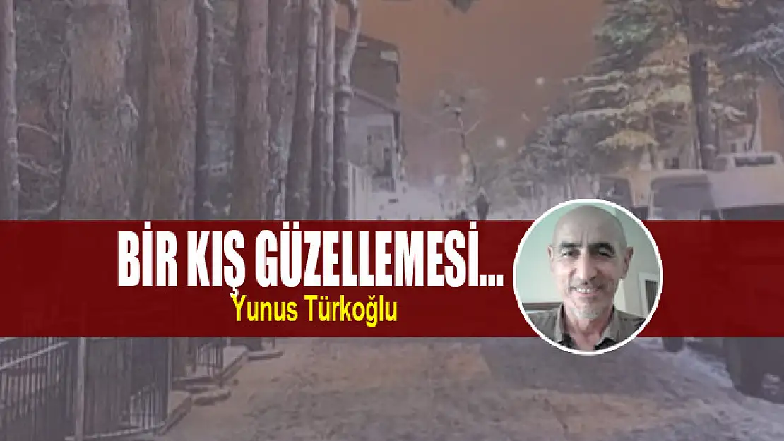 Bir Kış Güzellemesi…