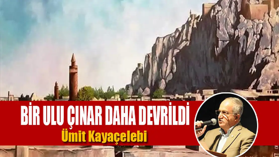 Bir ulu çınar daha devrildi