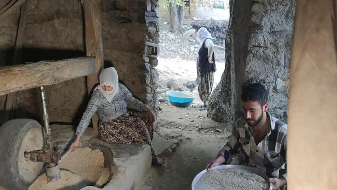 Bitlis'te asırlık su değirmenlerinde çeltikler pirinç haline getiriliyor