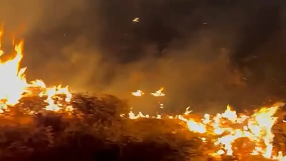 Bitlis'te örtü yangını