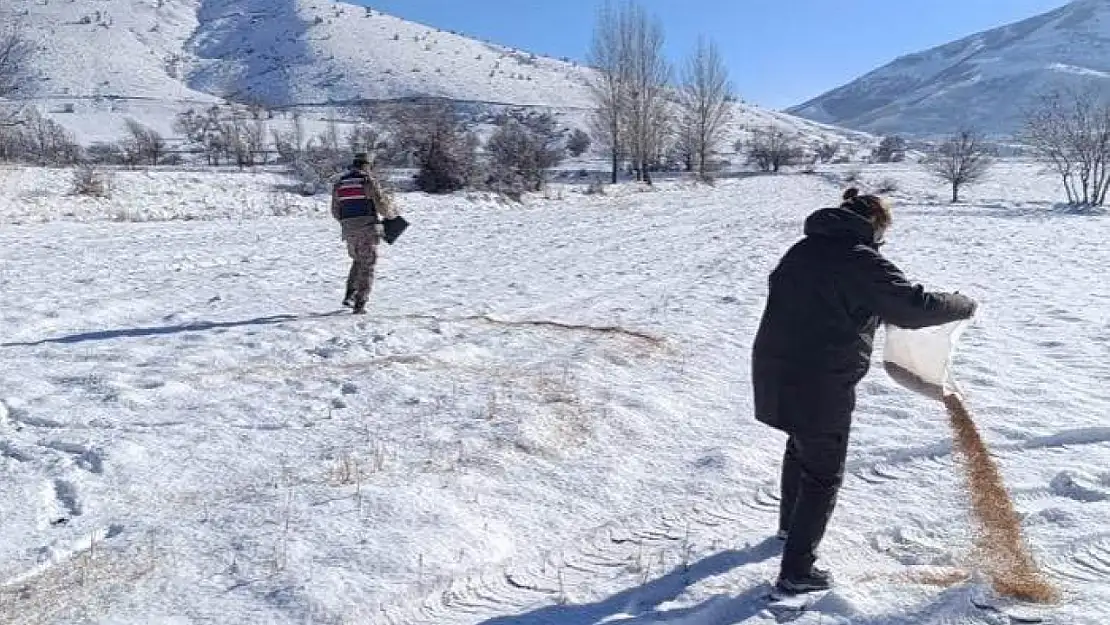 Bitlis'te yaban hayvanları için doğaya yem bırakıldı