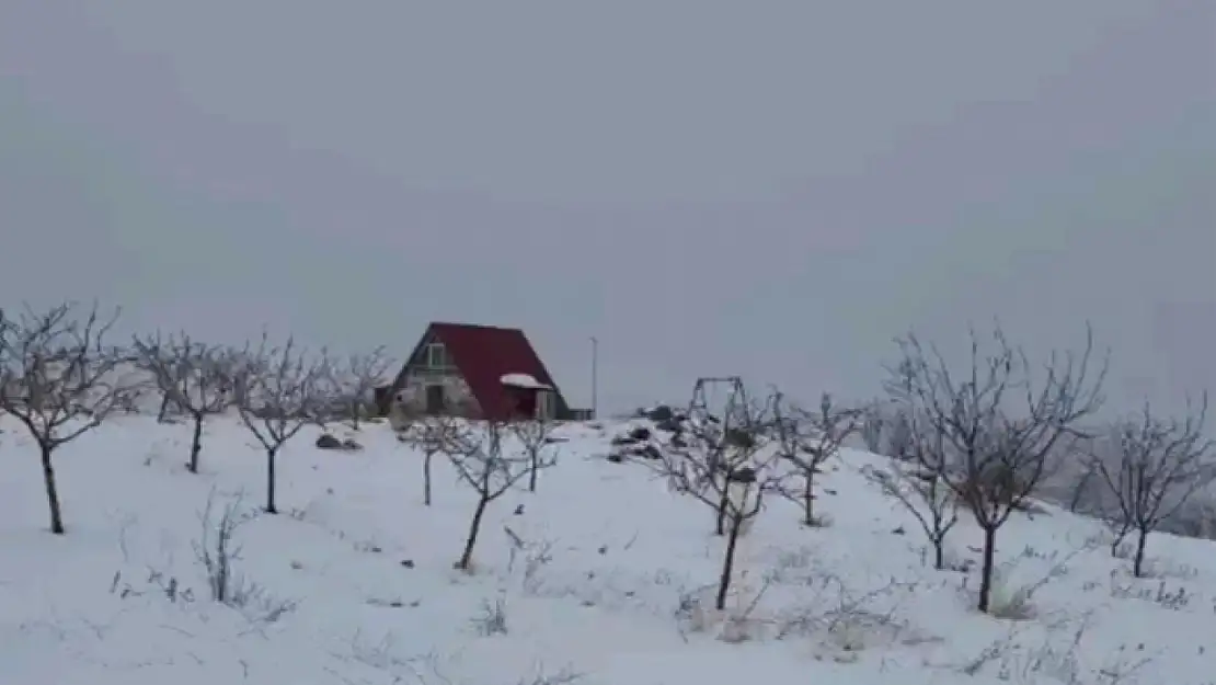 Bu evi gören bir daha bakıyor