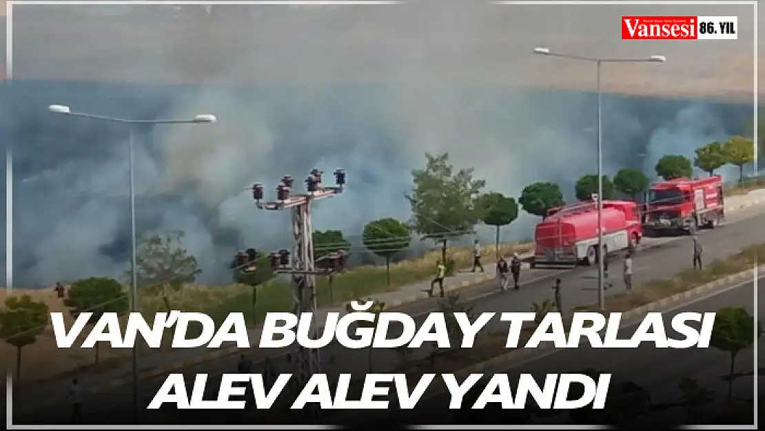 Van'da buğday tarlası alev alev yandı