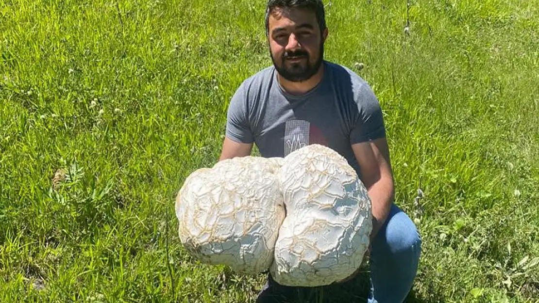 Bulduğunda kaya sandı, ne olduğunu anlayınca şoke oldu