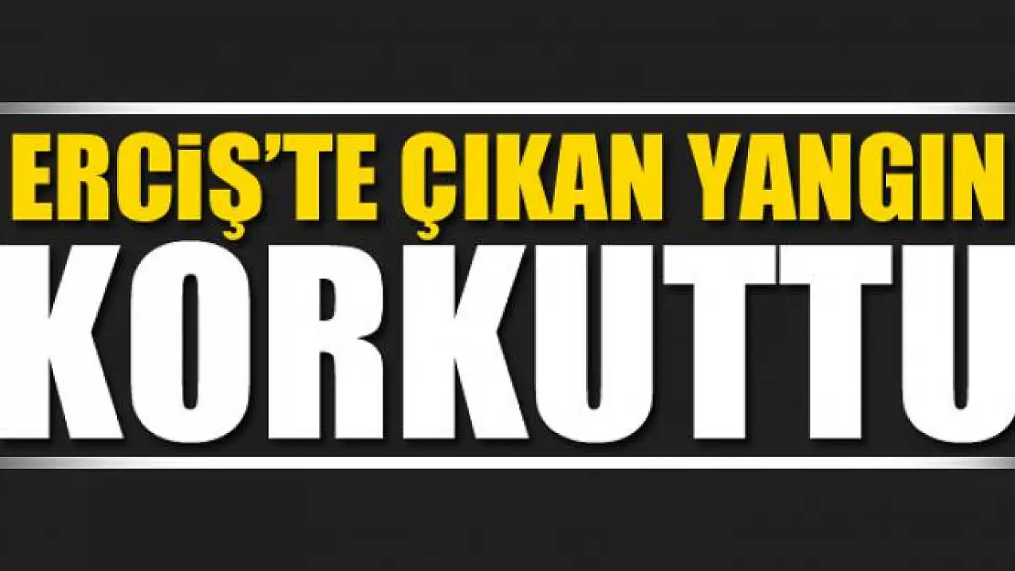 Erciş'te çıkan yangın korkuttu