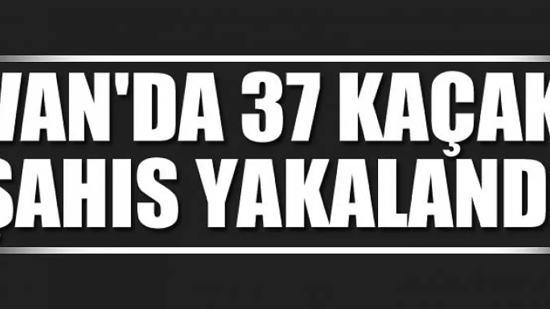 Van'da 37 kaçak şahıs yakalandı