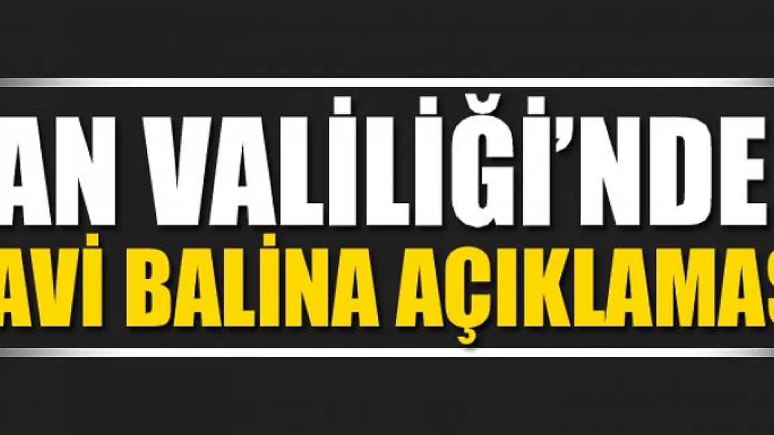 Van Valiliği'nden mavi balina açıklaması