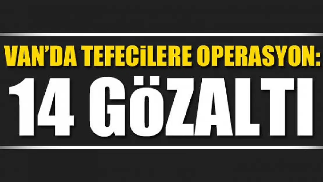 Van'da tefecilere operasyon: 14 gözaltı