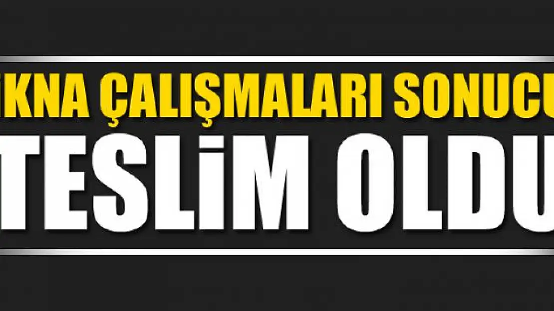 PKK'lı terörist, ikna çalışmaları sonucu teslim oldu