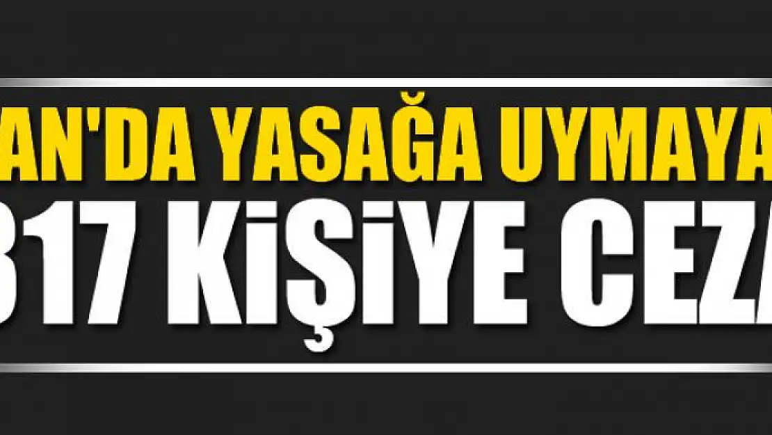 Van'da yasağa uymayan 317 kişiye para cezası uygulandı