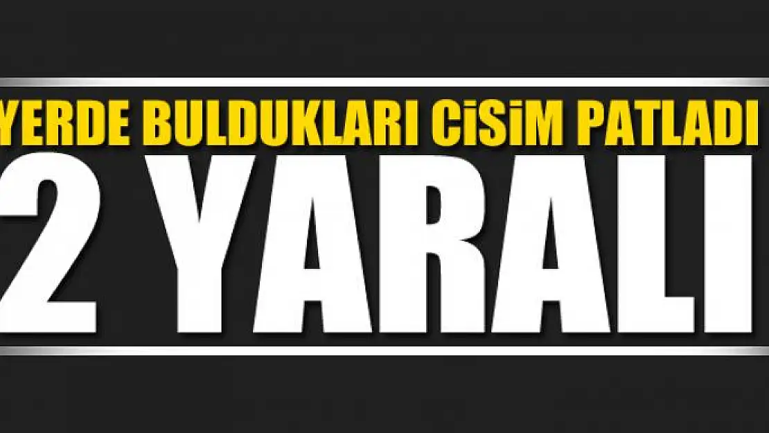 Yerde buldukları cisim patladı: 2 çoban yaralandı