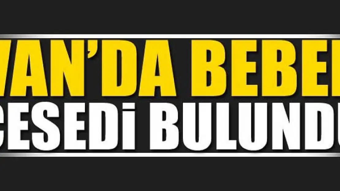 Van'da bebek cesedi bulundu