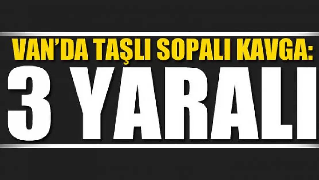 Van'da taşlı sopalı kavga: 3 yaralı 